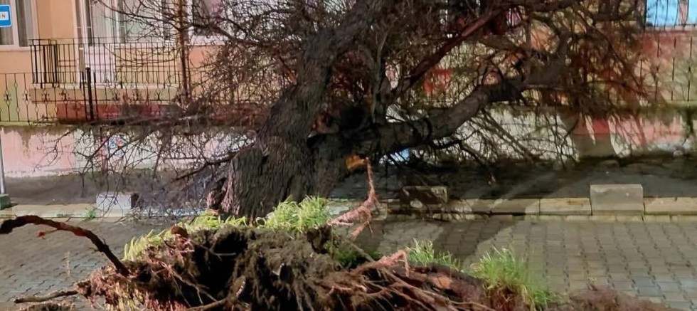 ÇATILAR UÇTU AĞAÇLAR DEVRİLDİ