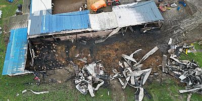 ÇIKAN  YANGINDA 230 HAYVAN ÖLDÜ