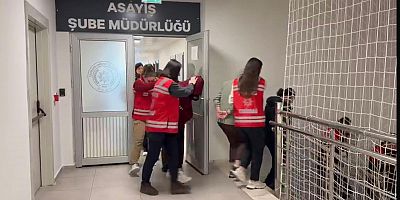 FUHUŞA 11 TUTUKLAMA 