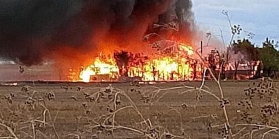 KORKUTAN BARAKA YANGINI 