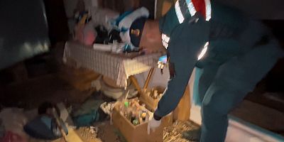 PİYASAYA SÜRECEKLERDİ